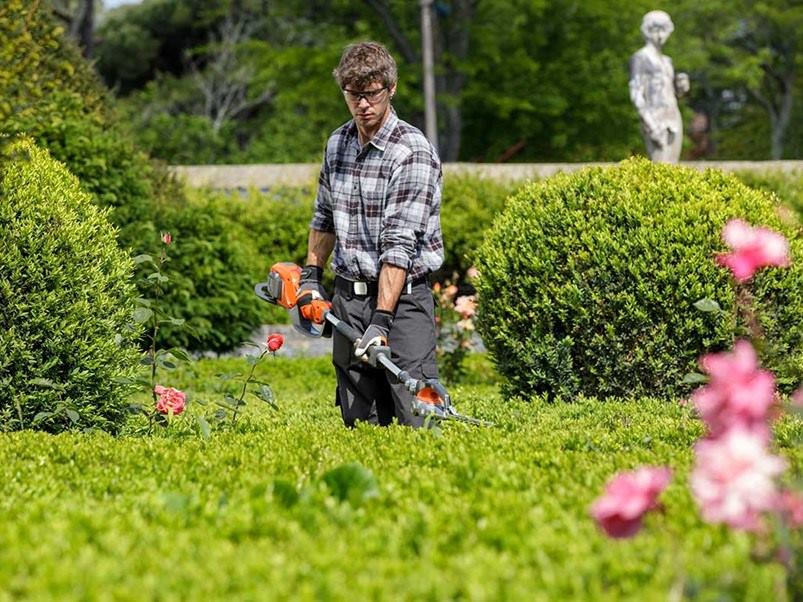 jardinero_podando_seto